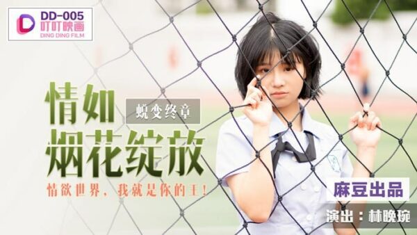 DD005 The emotions in the final chapter of transformation bloom like fireworks Lin Wanwan