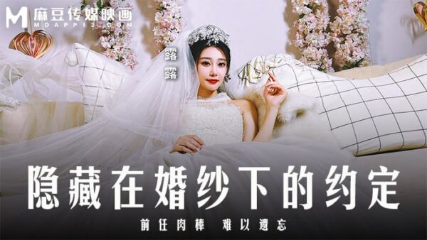 The promise hidden under the wedding dress