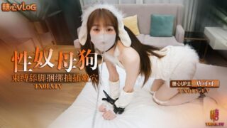 Tied up sex slave bitch, bound and trained, foot licking, oral sex, tied up and fucked, begging for mercy madou sex