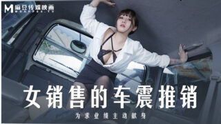 Tao Video female saleswoman’s car Xici MD0265 madou sex