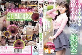 MISM-462 肛門に胸キュン 欲張り菊穴鍛錬会 月待青花