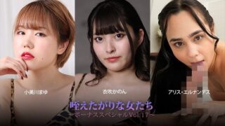 HEYZO 3930