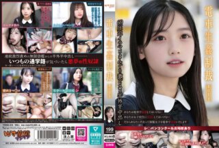 YDNS-014 電車生姦制裁 ＃014