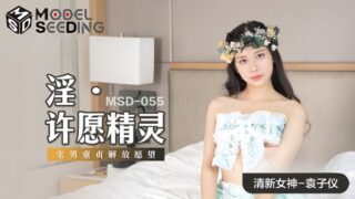 Yuan Ziyi MSD055 Wish Fairy madou sex