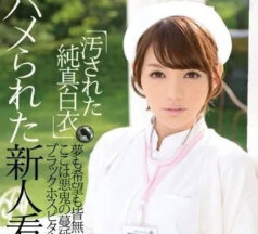 IPZ-489